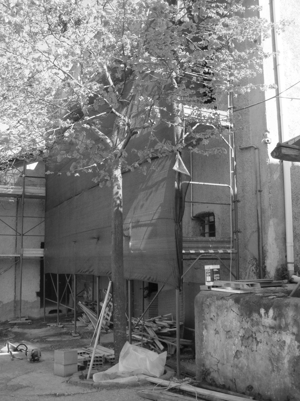DSC00623 (FILEminimizer)